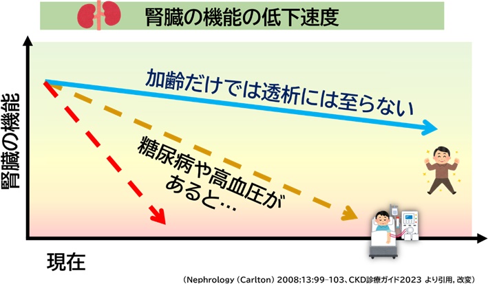 腎臓の機能の低下速度