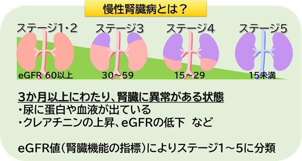 慢性腎臓病とは