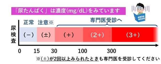 尿たんぱく