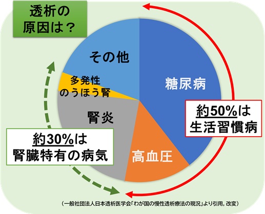 腎臓が病気になる原因
